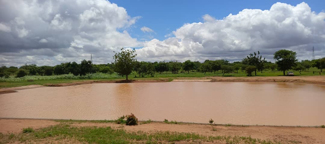 Image de l'activité