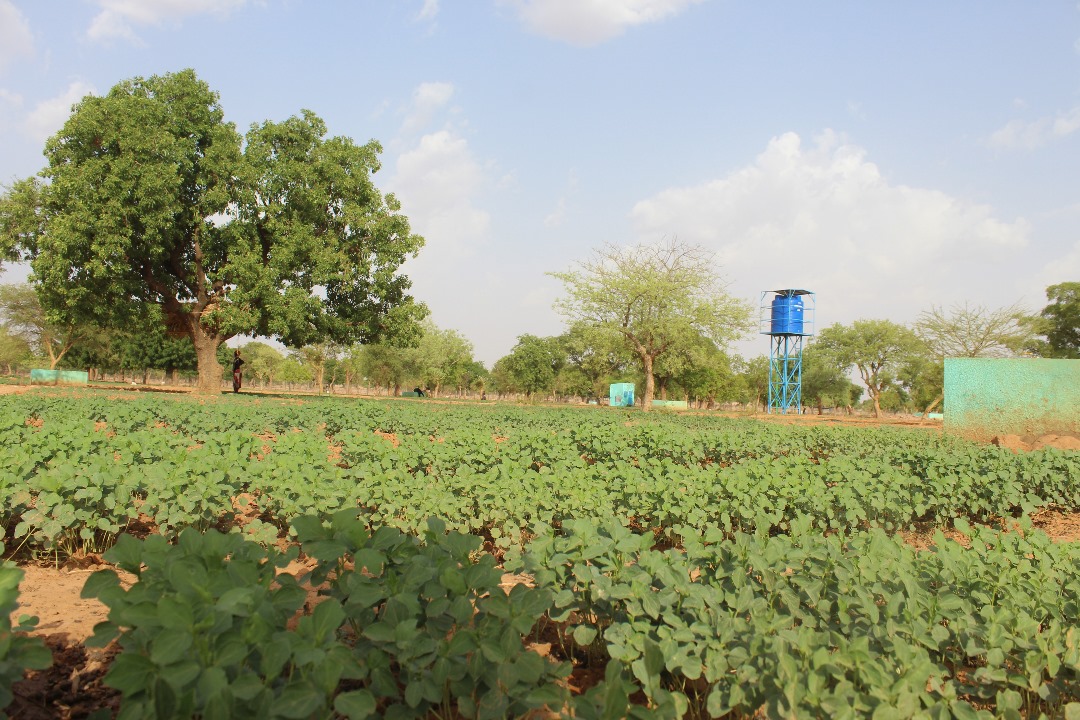 Image de l'activité