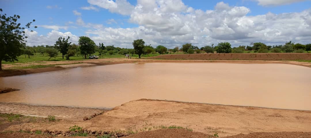 Image de l'activité